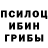 Псилоцибиновые грибы мухоморы Roman Slepukhin