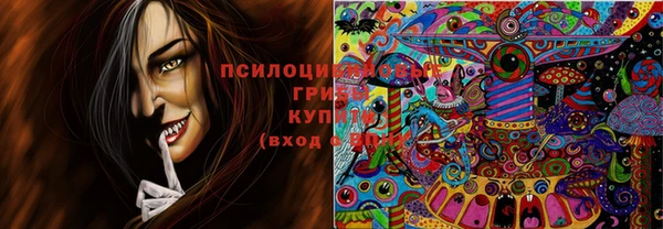 таблы Аркадак