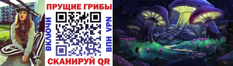 Галлюциногенные грибы мицелий  что такое наркотик  Игарка 